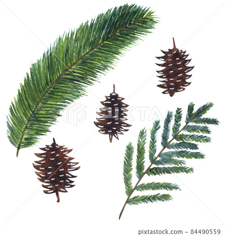 Watercolor set of pine branches and cones 84490559