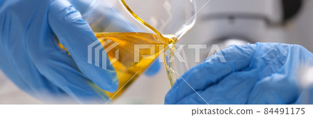 Gloved scientist pours yellow oily liquid from flask into test tube. Gloved scientist pours yellow oily liquid from flask into test tube. 84491175