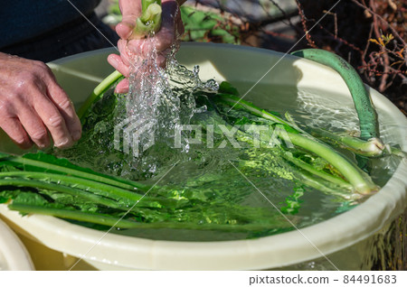 蔬菜洗 蔬菜洗 84491683