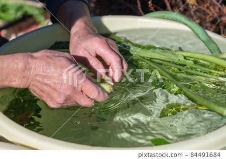 Vegetable wash 84491684