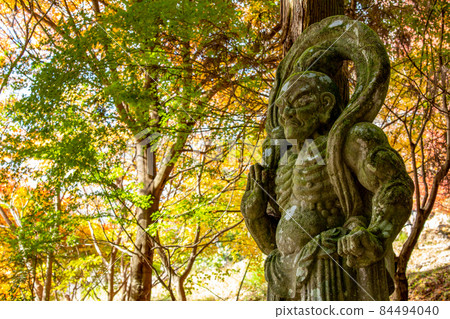 二子寺 Nio 雕像和秋葉 84494040