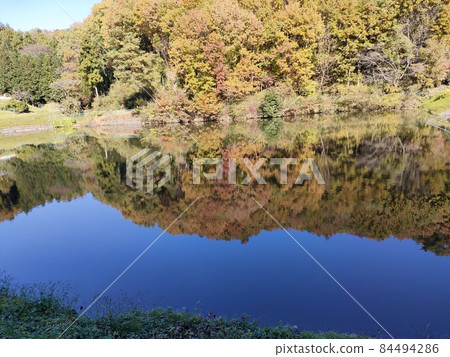 Kanetsukidosan的秋葉(埼玉縣寄居町) Kanetsukidosan的秋葉(埼玉縣寄居町) 84494286