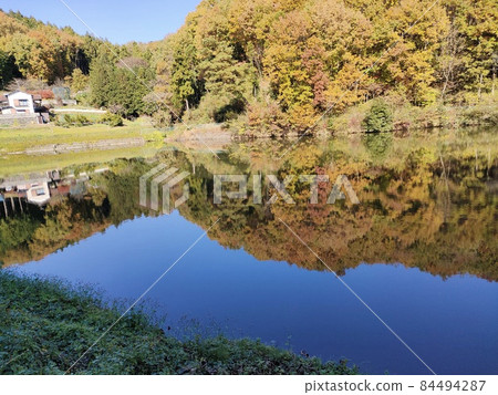 Kanetsukidosan的秋葉(埼玉縣寄居町) Kanetsukidosan的秋葉(埼玉縣寄居町) 84494287
