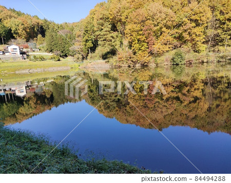 Kanetsukidosan的秋葉(埼玉縣寄居町) Kanetsukidosan的秋葉(埼玉縣寄居町) 84494288