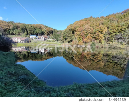 Kanetsukidosan的秋葉（埼玉縣寄居町） 84494289