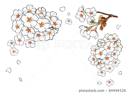 New Year! Cherry blossoms in full bloom are scattered at the entrance ceremony (with branches / top) 84494326