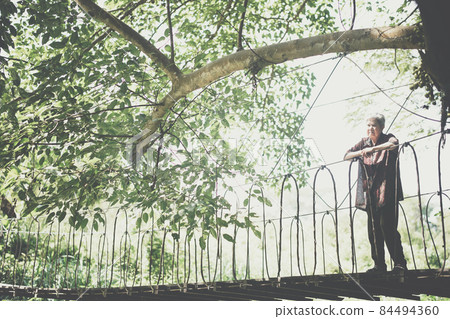 old elderly woman senior traveling on wooden hanging suspended rope bridge 84494360