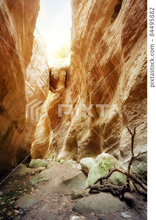 Avakas canyon on summer day Avakas canyon on summer day 84495882