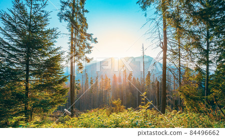 Tatra National Park, Poland. Sunrise Above Summer Mountain And Forest Landscape. Sun Sunshine With Sunlight Through Woods Trees In Morning 84496662