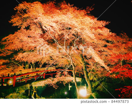 Ikaho Onsen: Illuminated autumn leaves of Kajika Bridge 84497873