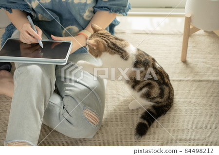asian woman play with her cat and use tablet meeting and working from home asian woman play with her cat and use tablet meeting and working from home 84498212