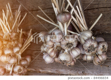 Garlic bundles hanging on wooden background, garlic bundles close-up, sun, aromatic Garlic bundles hanging on wooden background, garlic bundles close-up, sun, aromatic 84498834