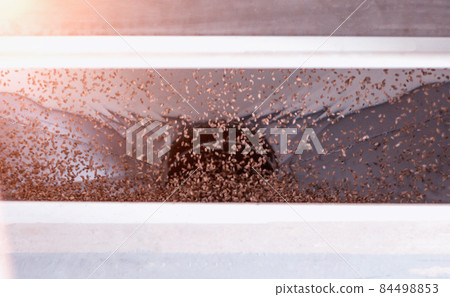 Modern new equipment at the plant for processing grain, cleaning grain from litter and foreign debris, close-up, industry, grain processing in the food industry, production, preparing 84498853