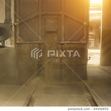 A truck unloads grain at a grain storage and processing plant, a grain storage facility, unloading corn, mill 84498859