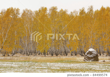 A haystack covered with the first autumn snow is on a field near the forest. A haystack covered with the first autumn snow is on a field near the forest. 84499574