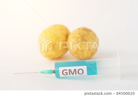 Potatoes on a white background in which of the syringe to prick the gmo and nitrates, close-up, genetically modified organism 84500020