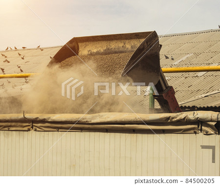 Tractor loader loads the truck with feed, animal feed, close-up, dipper 84500205