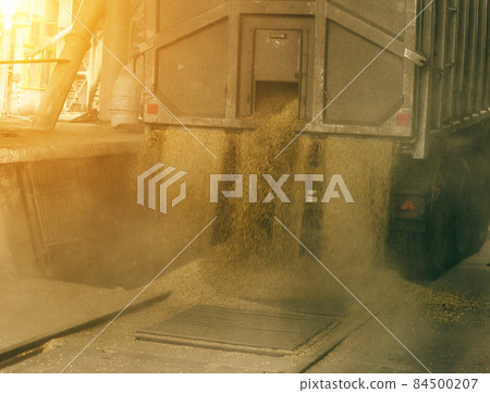 A truck unloads grain at a grain storage and processing plant, a grain storage facility, unloading grain, facility 84500207