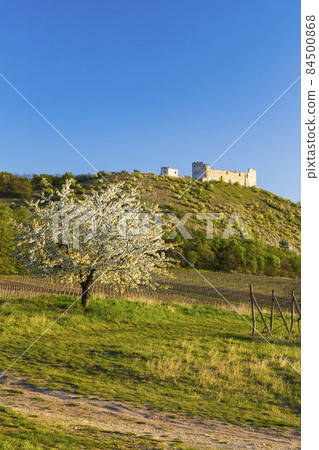 Spring landscape near Pavlov with Devicky ruins in Palava, Southern Moravia, Czech Republic Spring landscape near Pavlov with Devicky ruins in Palava, Southern Moravia, Czech Republic 84500868