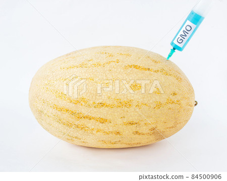 Melon on a white background in which enter gmo and nitrates, close-up, genetically modified organism, melon, nitrates Melon on a white background in which enter gmo and nitrates, close-up, genetically modified organism, melon, nitrates 84500906