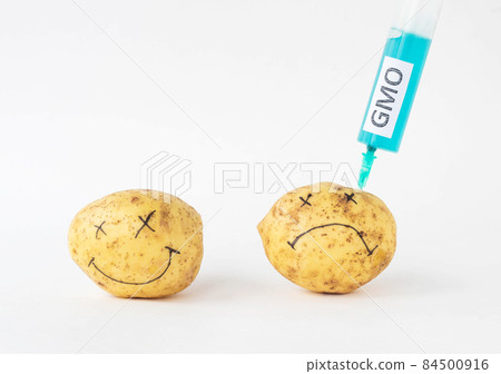 Potatoes on a white background in which of the syringe to prick the gmo and nitrates, close-up, genetically modified organism 84500916