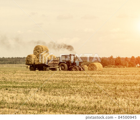 Agriculture and tractor collects straw bales on the farm plant Agriculture and tractor collects straw bales on the farm plant 84500945