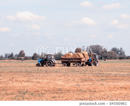 Agriculture and tractor collects straw bales on the farm plant Agriculture and tractor collects straw bales on the farm plant 84500961