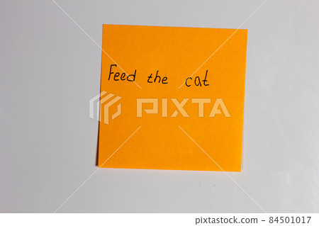 Orange sticker on the refrigerator door with an inscription Feed the cat Orange sticker on the refrigerator door with an inscription Feed the cat 84501017