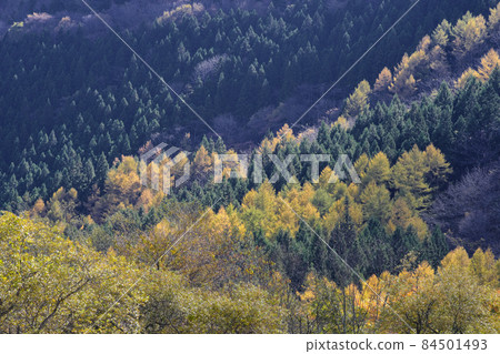 Mountains of autumn leaves Mountains of autumn leaves 84501493