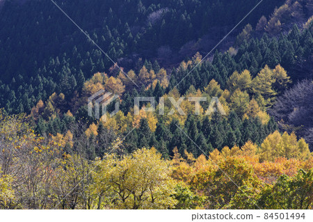 Mountains of autumn leaves Mountains of autumn leaves 84501494