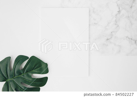 elevated view green monstera leaf white blank card desk. High quality photo elevated view green monstera leaf white blank card desk. High quality photo 84502227