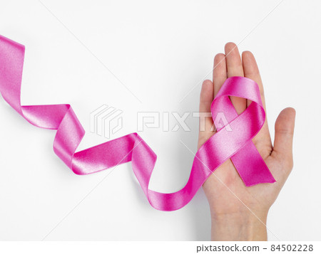 palm with pink ribbon. High quality photo palm with pink ribbon. High quality photo 84502228