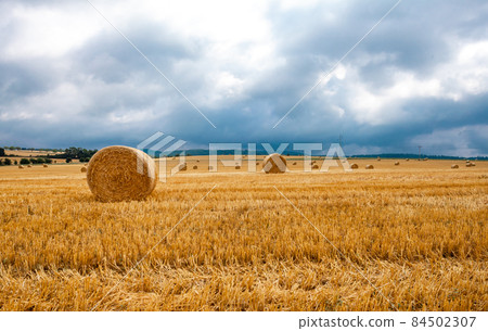straw bales in the field after harvest. natural panorama 84502307