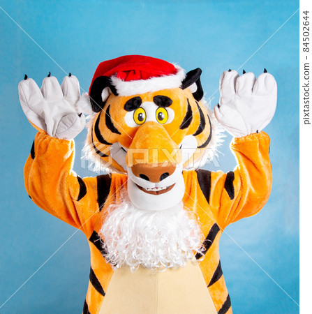 Orange soft tiger in a red santa claus hat on a blue background. Birthday and New Years 2022 concept 84502644