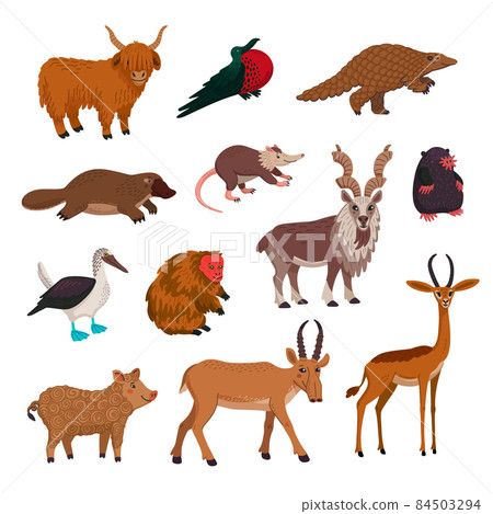 Wild animsls vector set, rare endandered animals. Flat style cartoon Vector illustration. 84503294