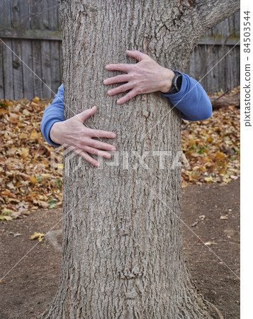 man hugging a tree in a backyard man hugging a tree in a backyard 84503544
