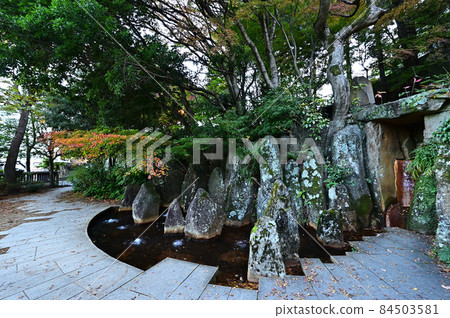 炭山溫泉源園秋葉 84503581