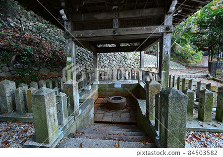 從炭山溫泉源公園 從炭山溫泉源公園 84503582