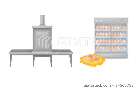 Egg process production in chicken poultry factory vector illustration Egg process production in chicken poultry factory vector illustration 84503792