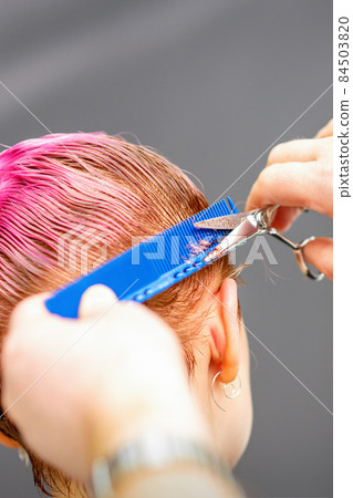 Professional hairstylist is cutting short pink hair with scissors in hair salon close up. Professional hairstylist is cutting short pink hair with scissors in hair salon close up. 84503820