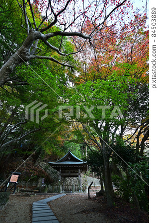炭山溫泉源園秋葉 炭山溫泉源園秋葉 84503889