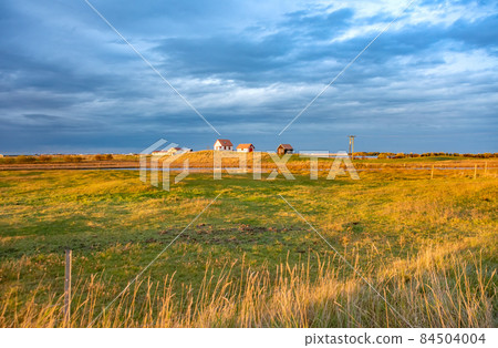 Old farm and meadow in Iceland on sunrise. 84504004