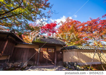 京都佛教教士秋葉 京都佛教教士秋葉 84504215