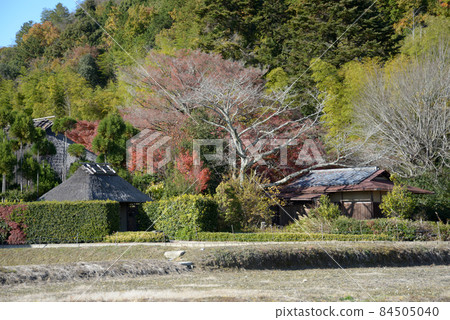 Autumn Sagano, Ukyo-ku, Kyoto 84505040