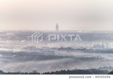 Morning at Mitsuishi Forest Park, Kasumigaura City, Ibaraki Prefecture 84505056