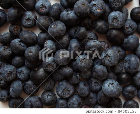 Heap of fresh ripe blueberries background close up Heap of fresh ripe blueberries background close up 84505155