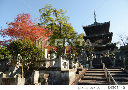京都市左京區黑谷 秋天的近海光明寺 84505440
