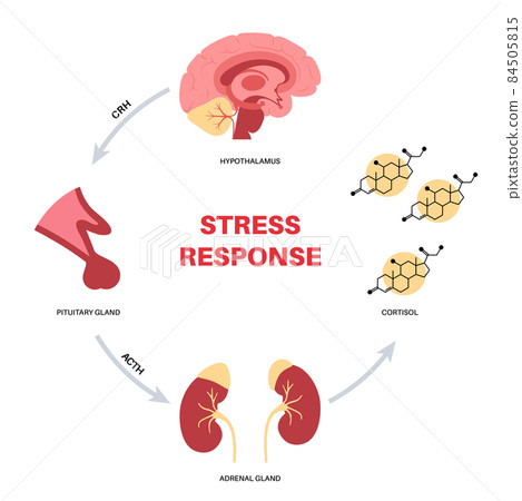 Stress responce system 84505815
