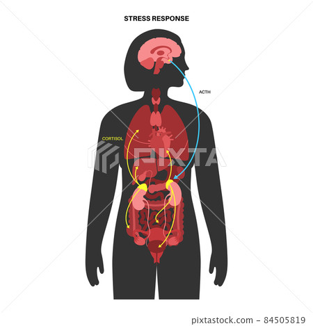 Stress responce system Stress responce system 84505819