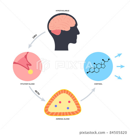 Stress responce system 84505820